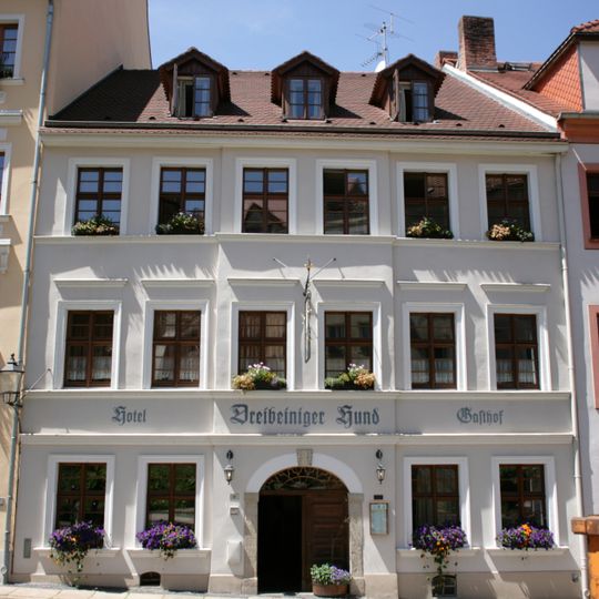 Hotel Dreibeiniger Hund
