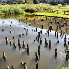 Sito archeologico di Fiavé