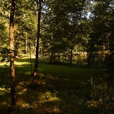 Rybníček u Starých Hutí