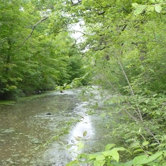 Miami and Erie Canal Deep Cut