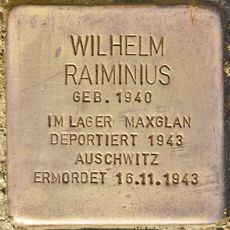 Wilhelm Raiminius