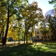 Vikovi dereva sadyby Hlibova