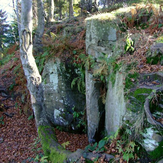 Nature reserve Śnieżnica