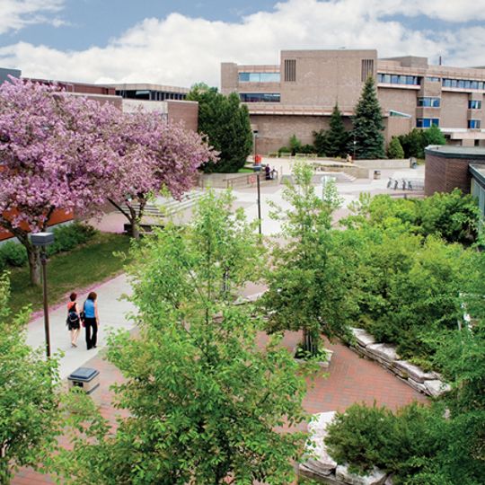Lakehead University