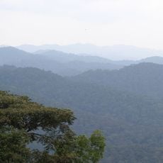 Bwindi Impenetrable Forest