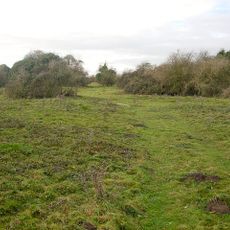 Great Wilbraham Common