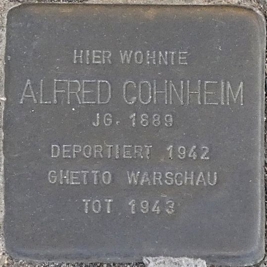Stolperstein en memoria de Alfred Cohnheim