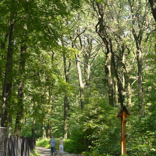 Park Leśny im. Powstańców Śląskich w Radlinie