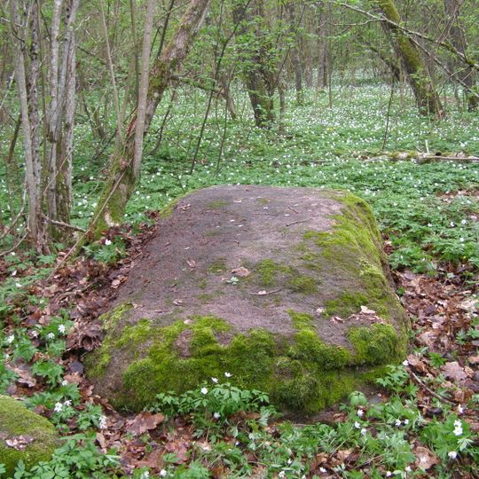 Kašučių I akmuo su dubenėliais