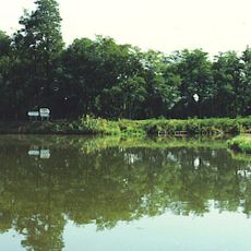 Canal de Roanne à Digoin