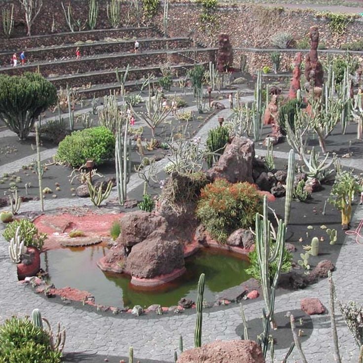 Jardin de Cactus