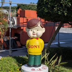 糸満のソニー坊や