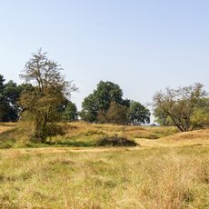 Schweinfurter Becken und nördliches Steigerwaldvorland