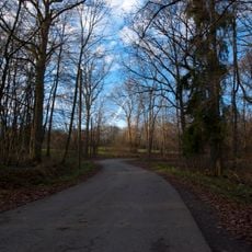 Rodacher Wald mit Ruhhügel