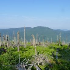 Smrk (nature reserve)