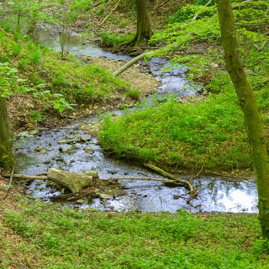 Hinnenburger Forst mit Emder Bachtal