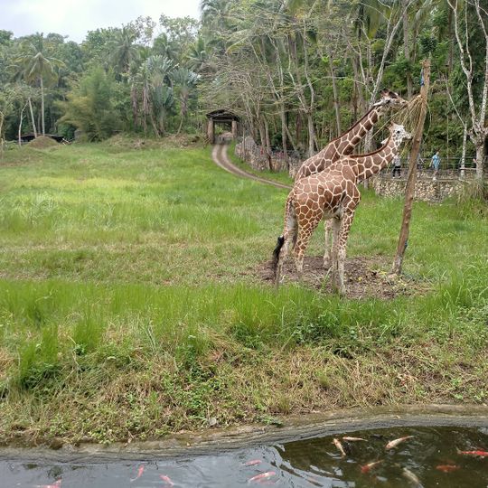 Cebu Safari and Adventure Park