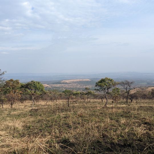 Parco nazionale di Ruvubu