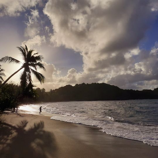 Plage de l'Anse l'Étang