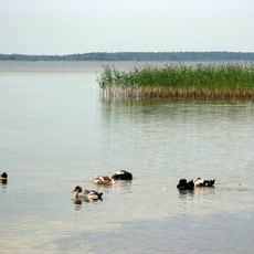 Parco naturale nazionale di Šac'k