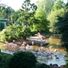 Paignton Zoo