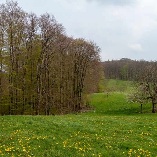 Wald- und Grünlandkomplex Hillentrup