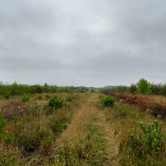 Rudi XIII settlement