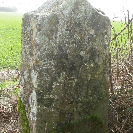 The Bake and Wylye Down milestones