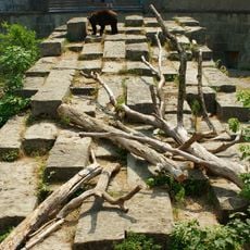 Bear pit