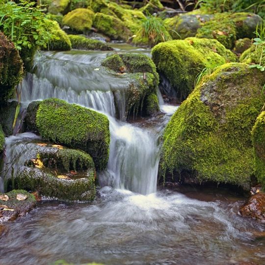 Biosfeerreservaat Sajano-Sjoesjenski