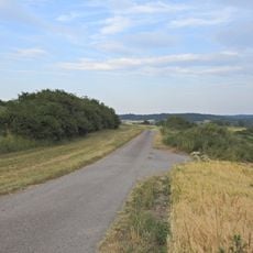 2 Heckenzüge und Magerrasen im Honhardter Bühl