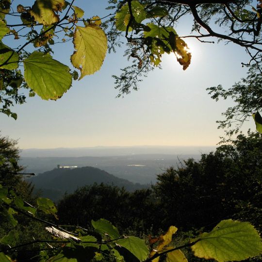 Großer Ölberg