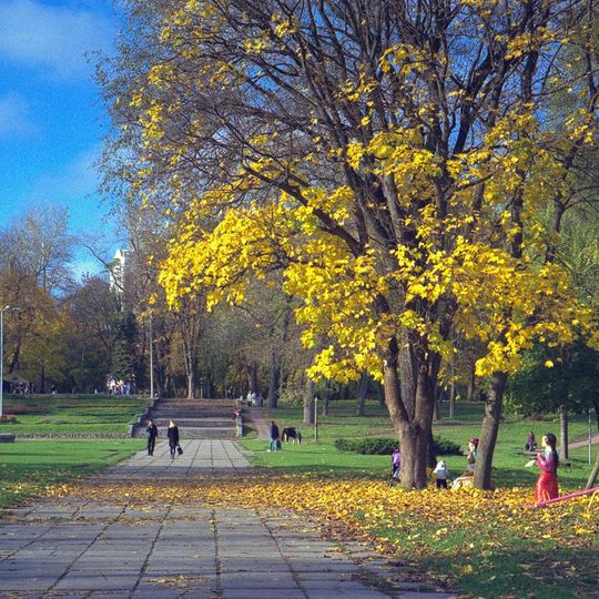Central park, Chernihiv