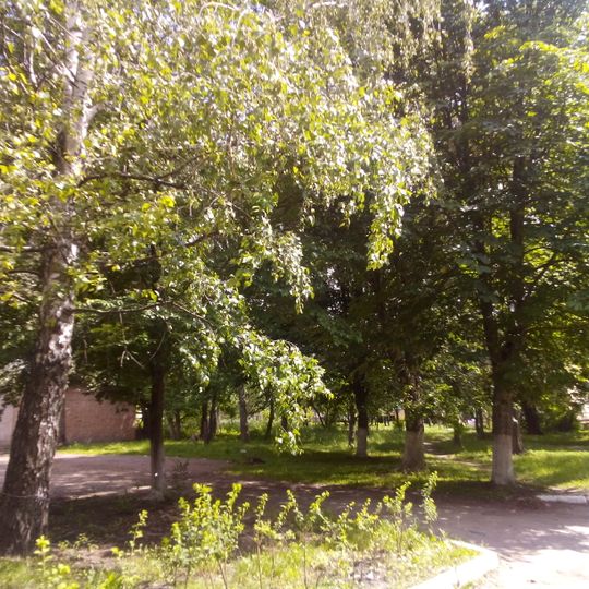 Arboretum Pryluky