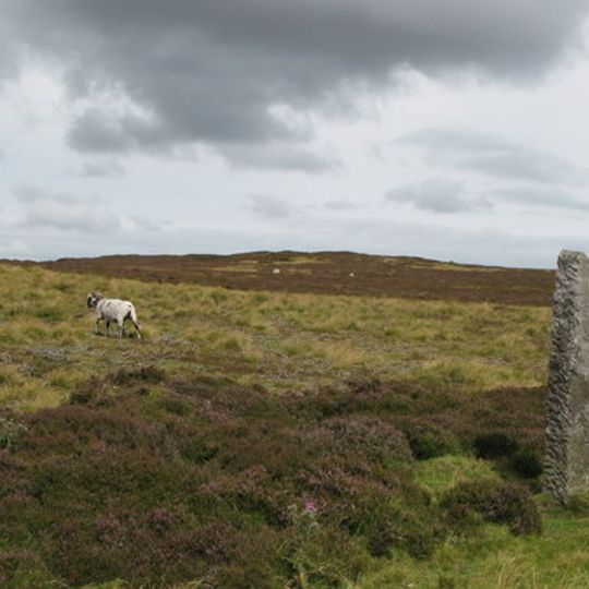 Edmundbyers Cross, Muggleswick Common, 1460m west of Heather Lea