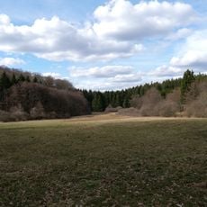 Weihergrund von Anspach