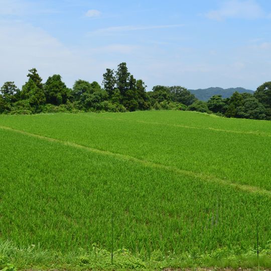 極楽寺ヒビキ遺跡
