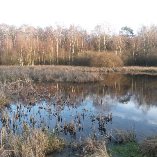 Obere Wümmeniederung