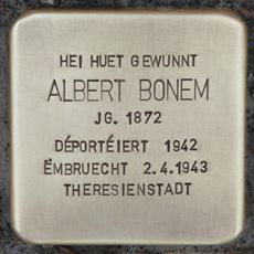 Albert Bonem