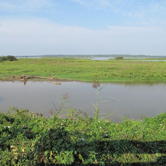 Marais d'Orx et zones humides associées