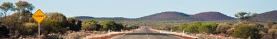 Panoramic View 3