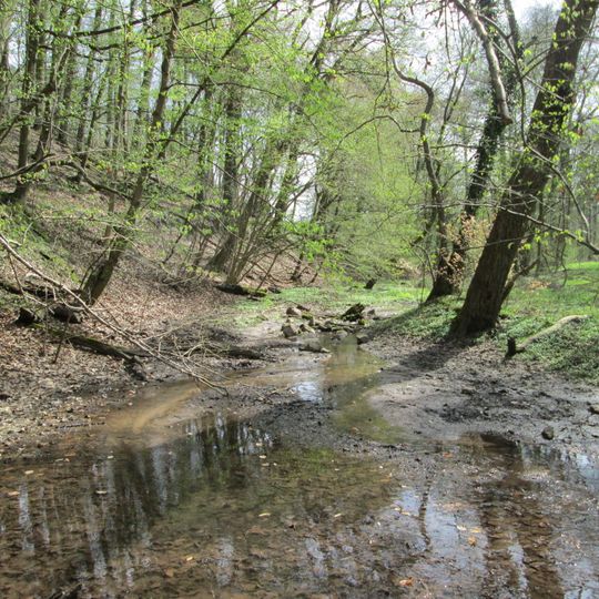 Drahtzugweiher und das Habsterwiesental