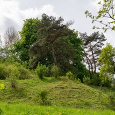 Kalkmagerrasen bei Calenberg und Dalheim