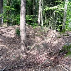 Burgstall Burgbuckel Hettigenbeuern