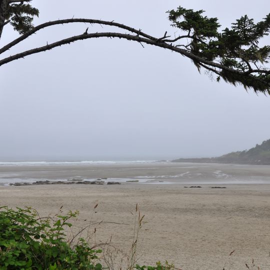 Yachats Ocean Road State Natural Site