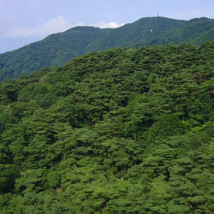 Mont Rokkō