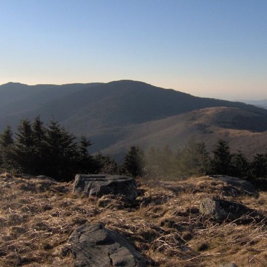 Roan Mountain