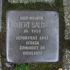 Robert Salomon