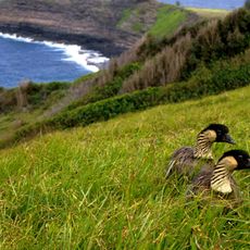 Kīlauea Point National Wildlife Refuge