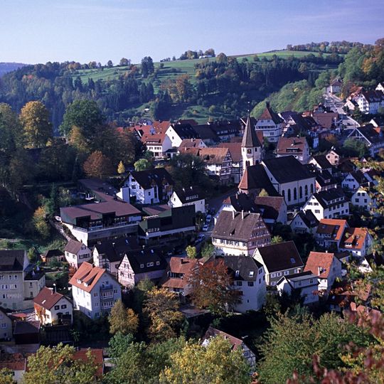 Wildberg